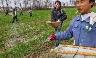 假化肥农药爆料最新消息,最新爆料揭露行业乱象  第1张