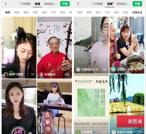 娱乐圈吃瓜冰雨直播视频,一场吃瓜盛宴  第1张