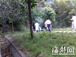 福州长乐爆料案件最新,惊人真相揭开背后黑幕  第1张